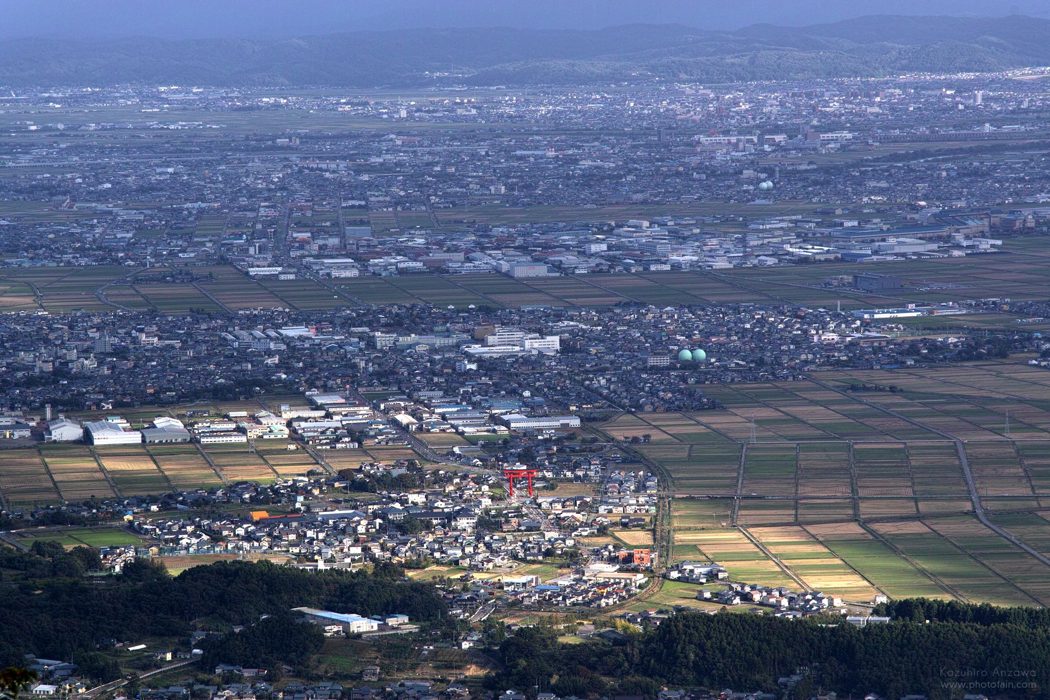 新潟県 - 弥彦山頂からの彌彦神社大鳥居