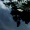 248/366 days photography season 7
