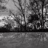 321/366 days photography season 7