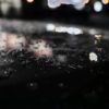 350/366 days photography season 7