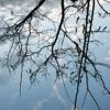 357/366 days photography season 7