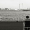 274/366 days photography season 9q