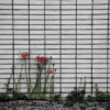 266/366 days photography season 10
