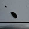 276/366 days photography season 10
