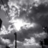 279/366 days photography season 10