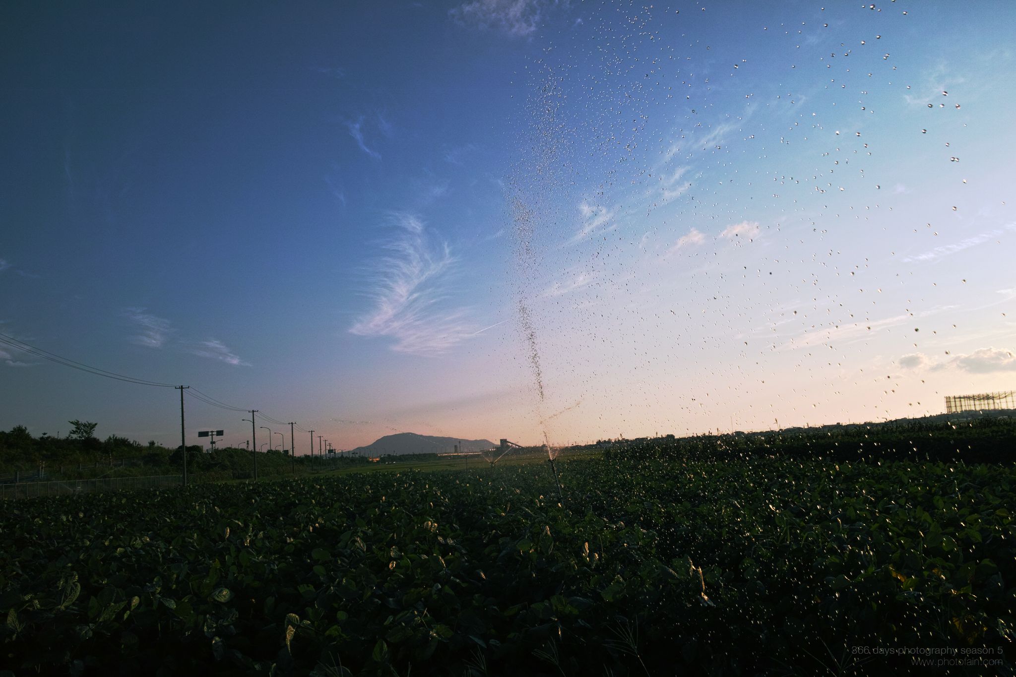 215/366 days photography season 5