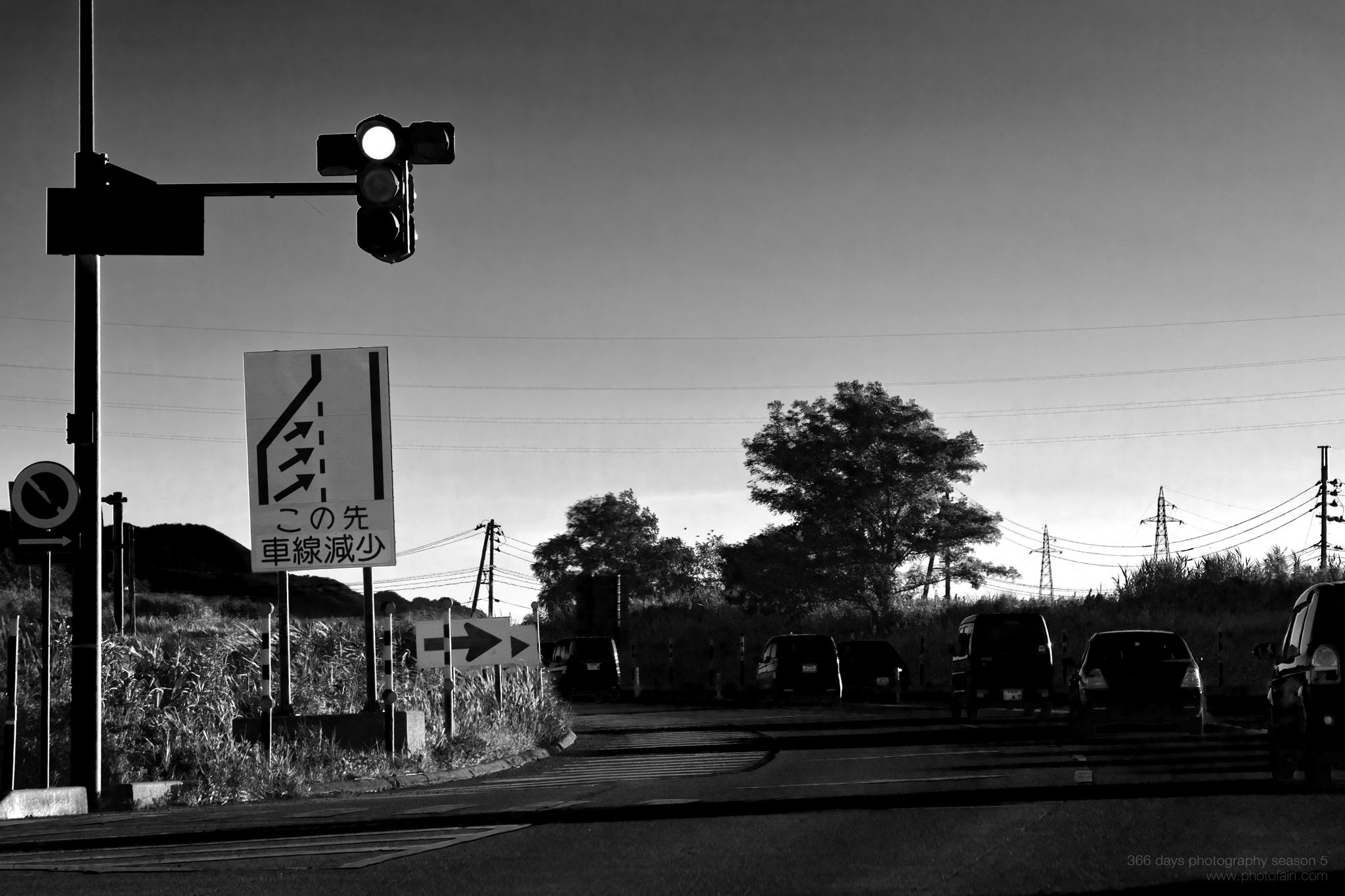 213/366 days photography season 5