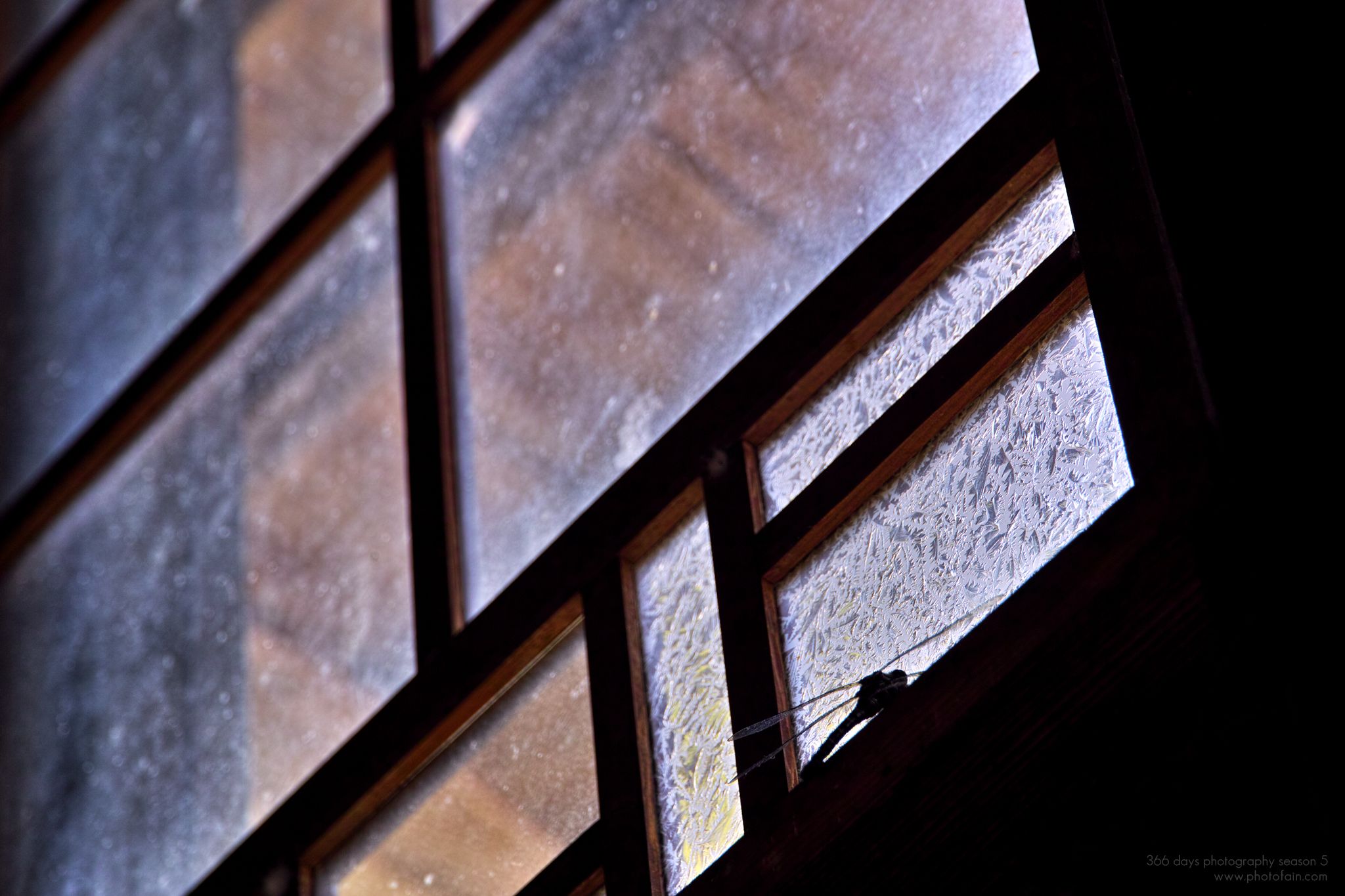 224/366 days photography season 5