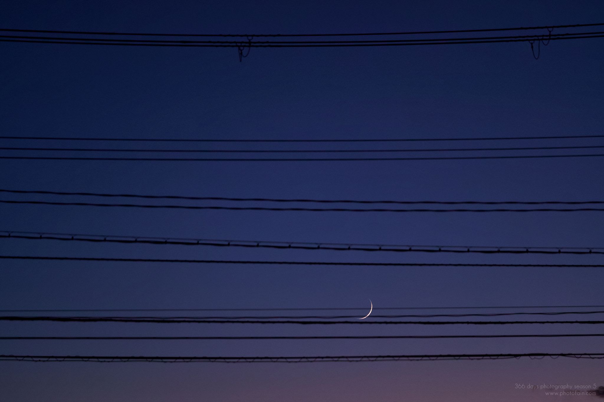 254/366 days photography season 5