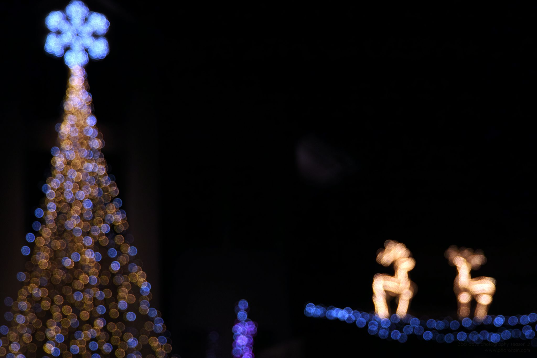 337/366 days photography season 5