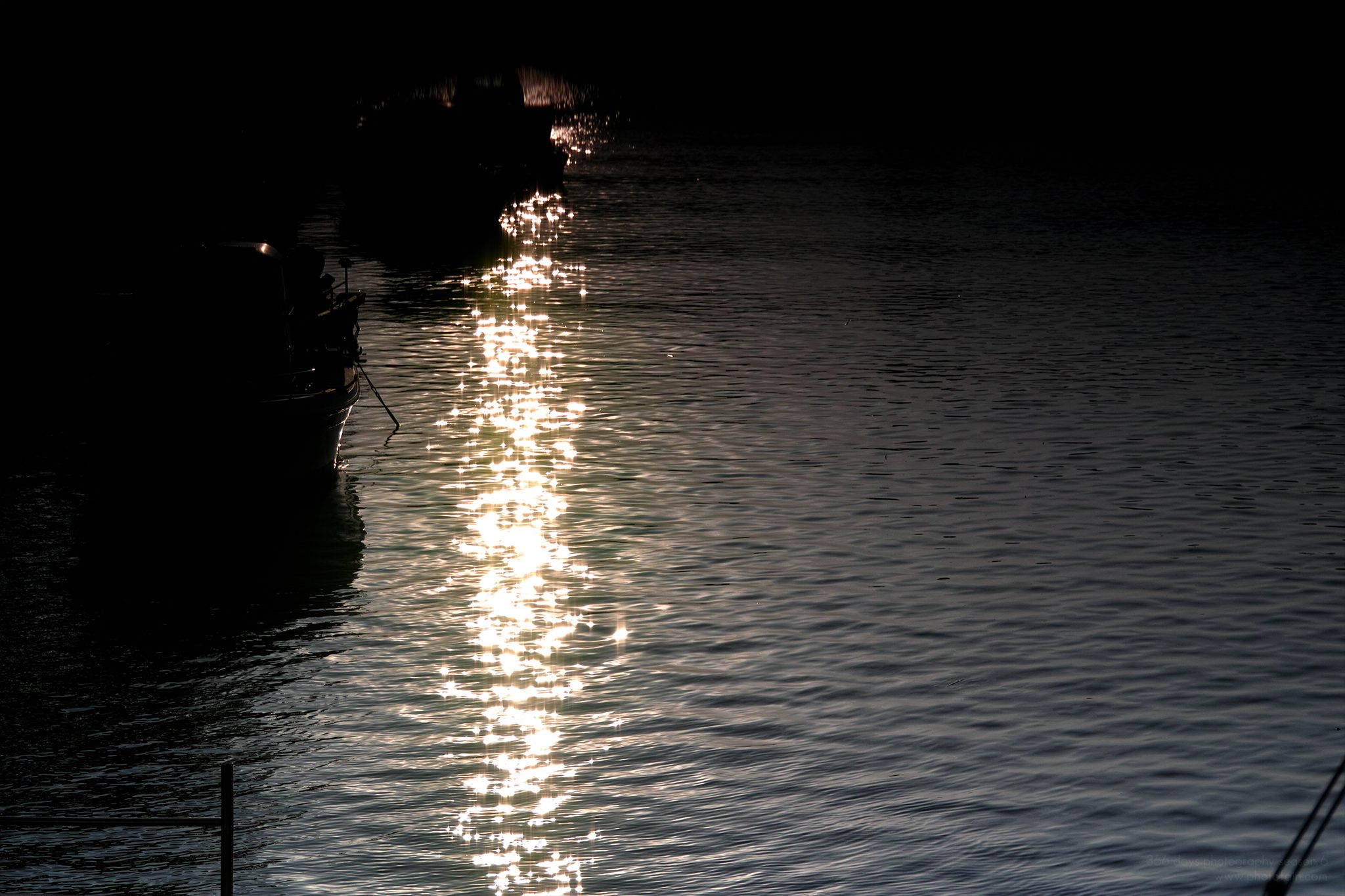 157/366 days photography season 6