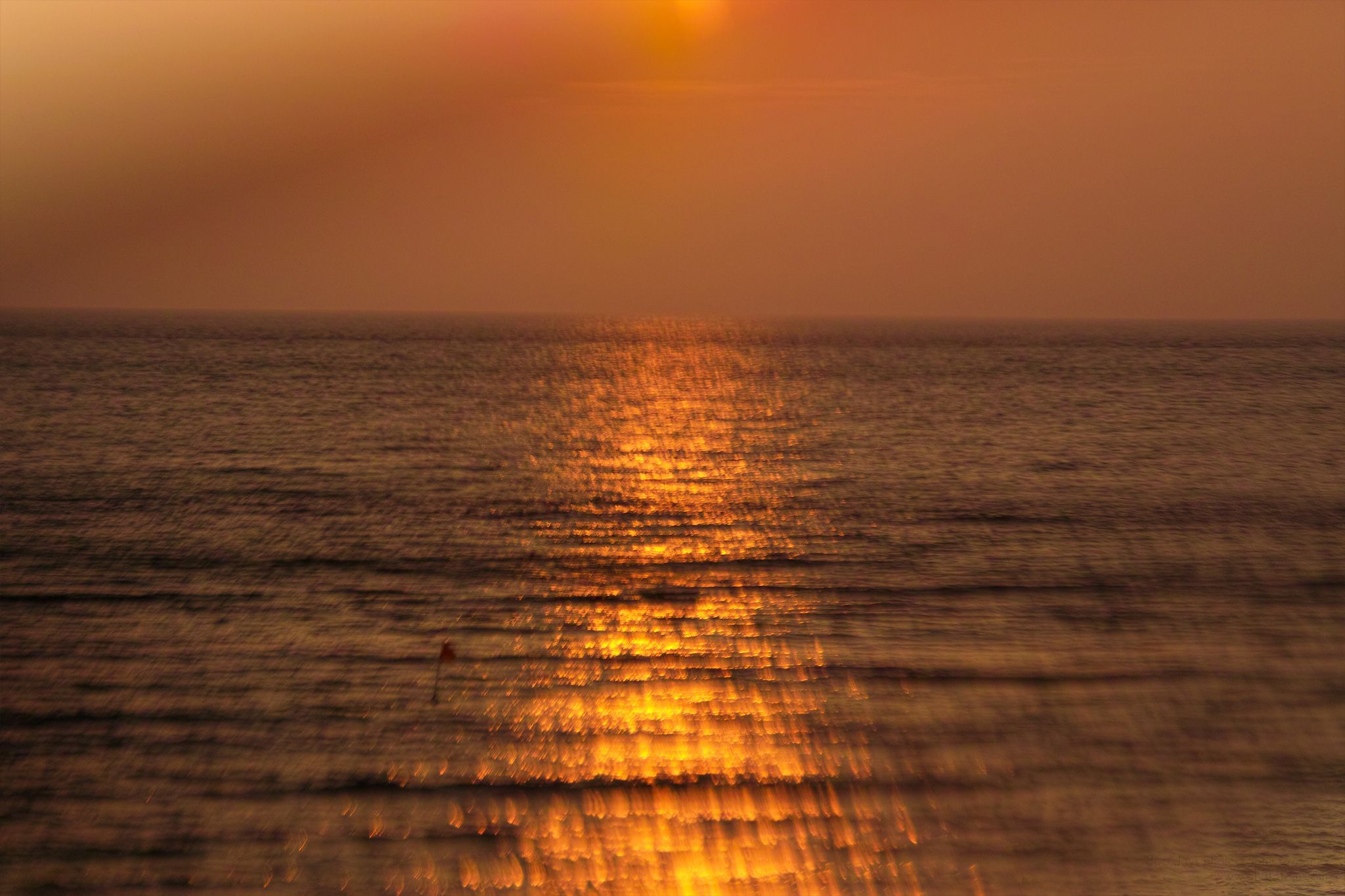 205/366 days photography season 6