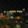 256/366 days photography season 6