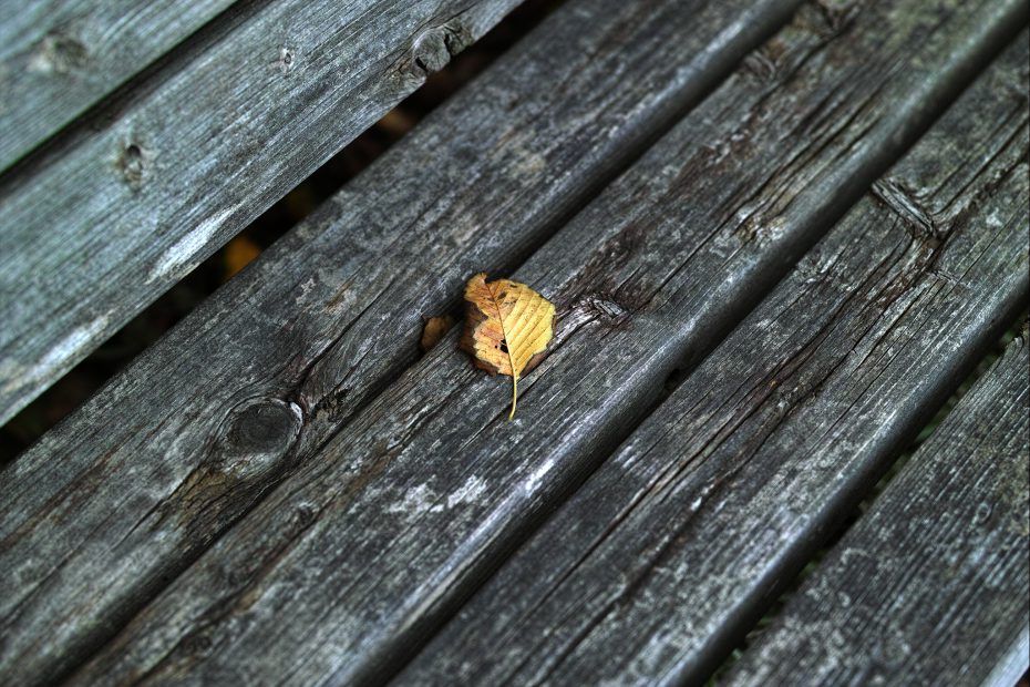278/366 days photography season 6