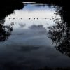 293/366 days photography season 6