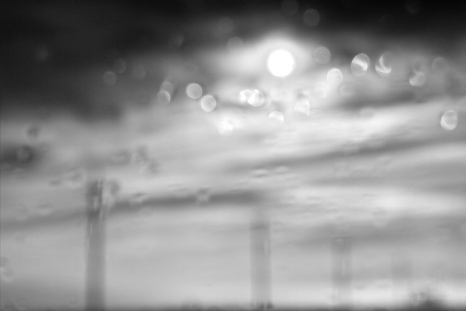 311/366 days photography season 6