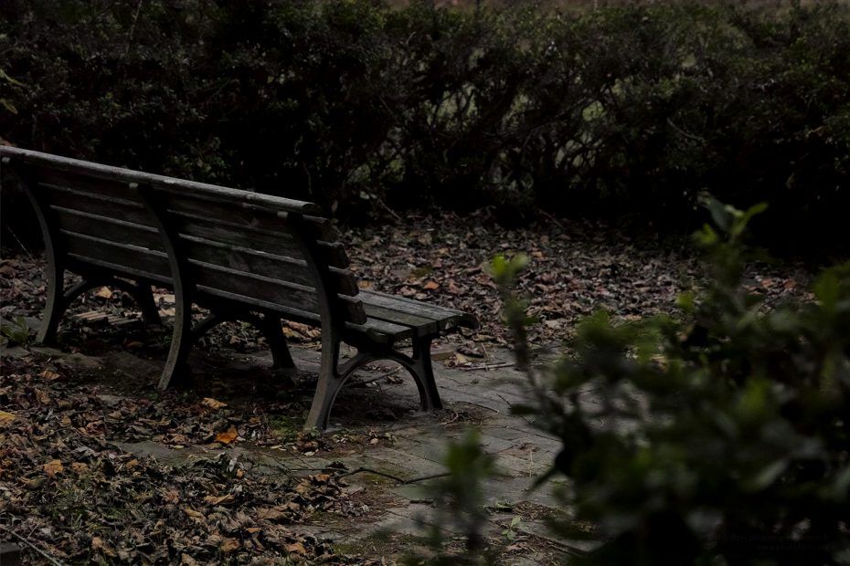 313/366 days photography season 6