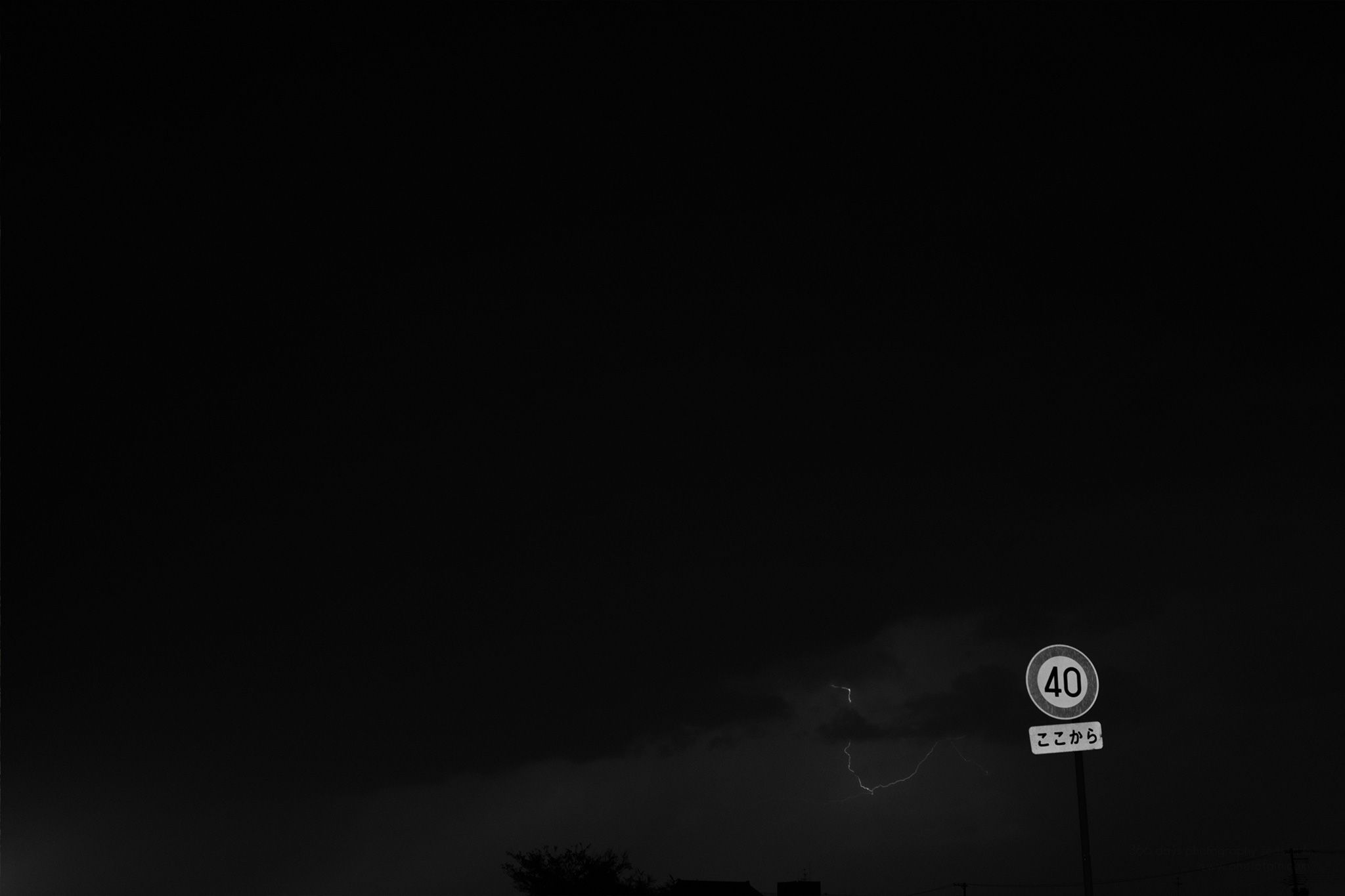 315/366 days photography season 6