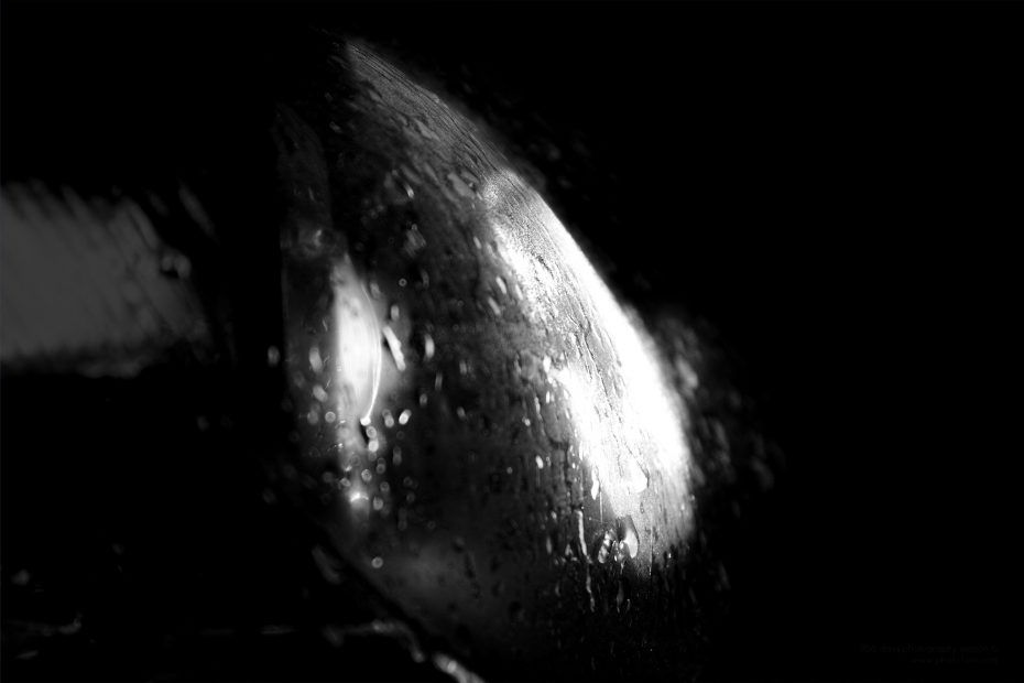 323/366 days photography season 6