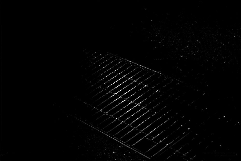 329/366 days photography season 6