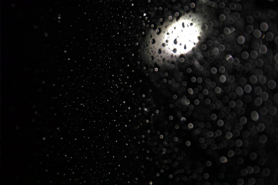 331/366 days photography season 6