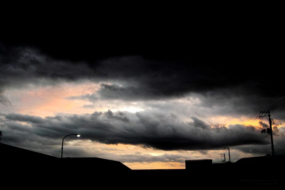 341/366 days photography season 6