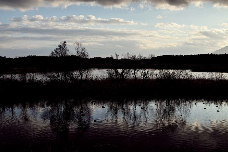 342/366 days photography season 6