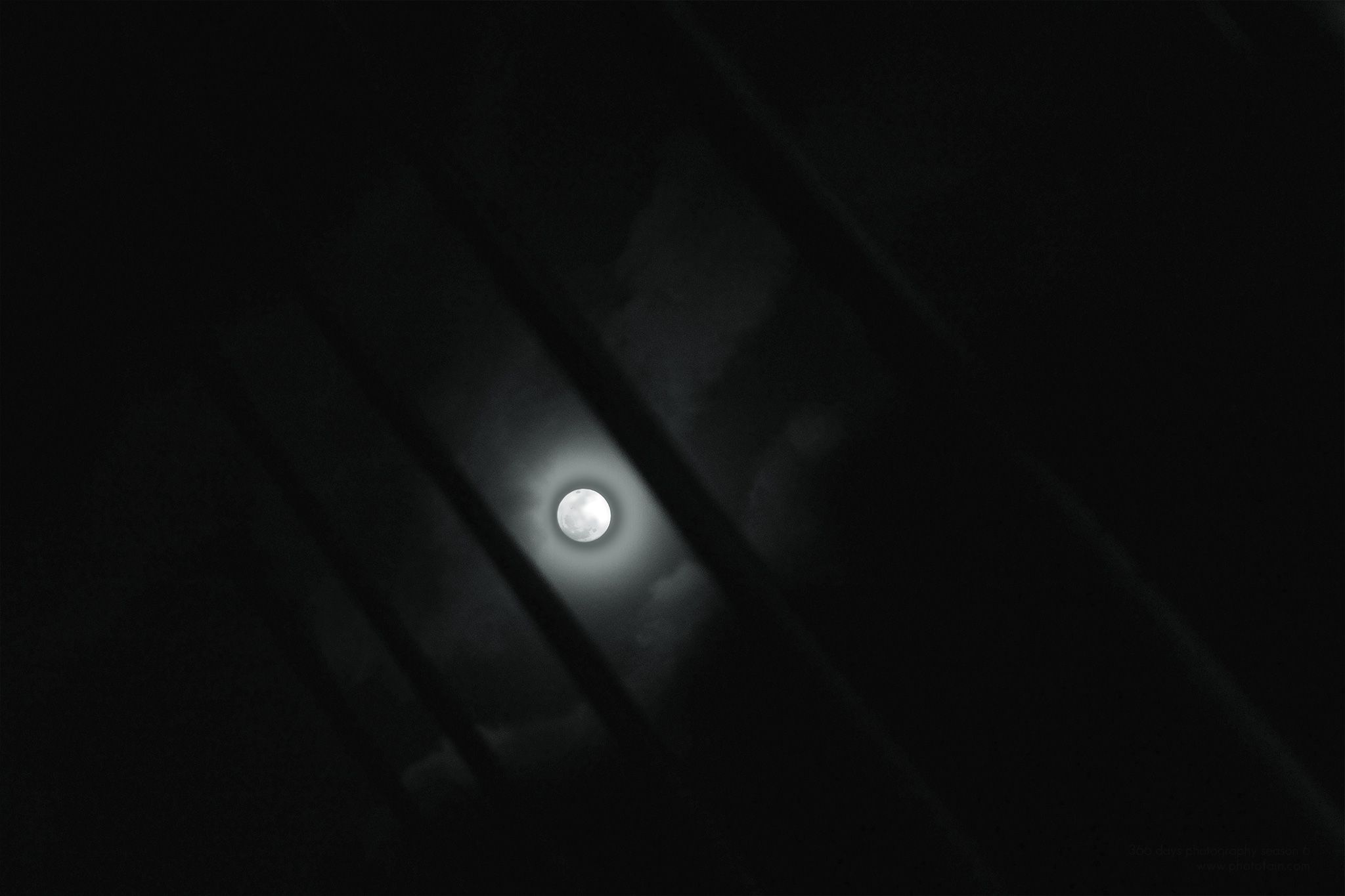 345/366 days photography season 6