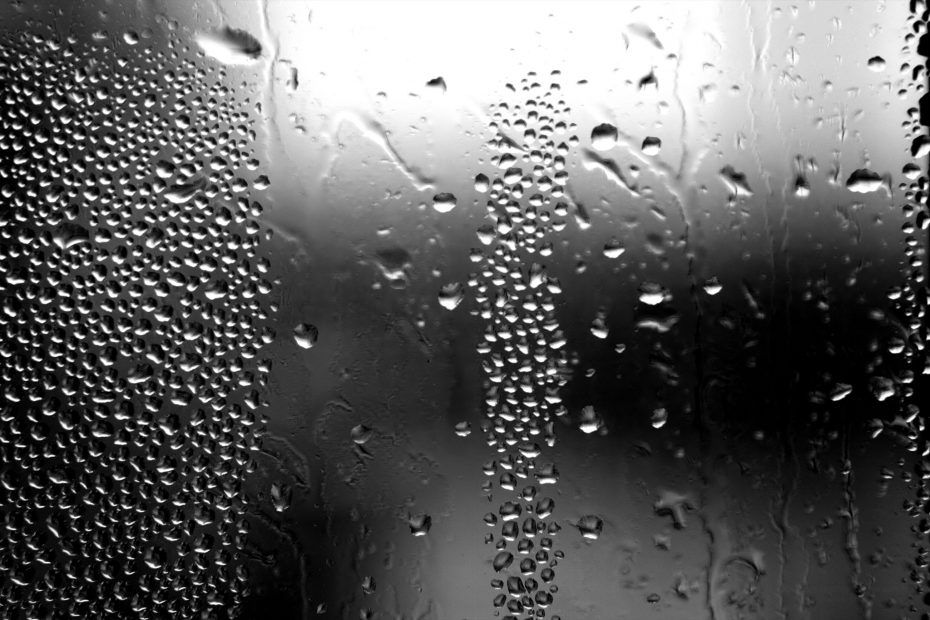 348/366 days photography season 6