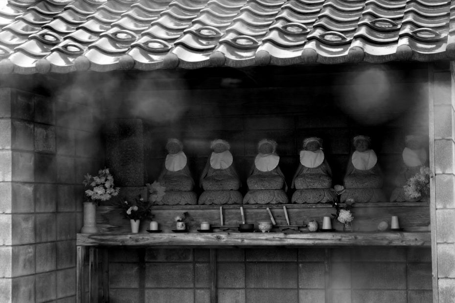 351/366 days photography season 6