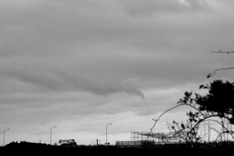 353/366 days photography season 6