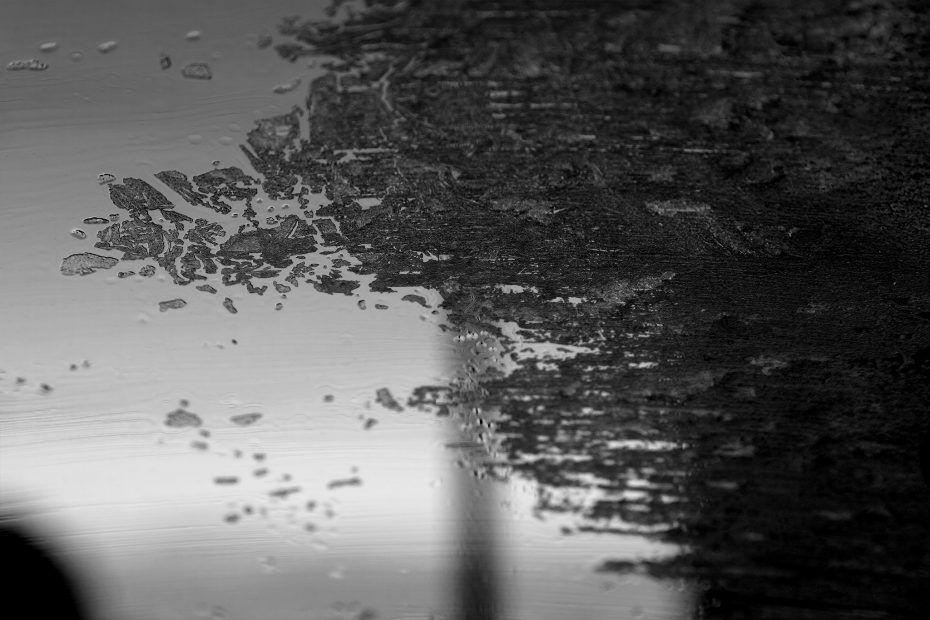 359/366 days photography season 6