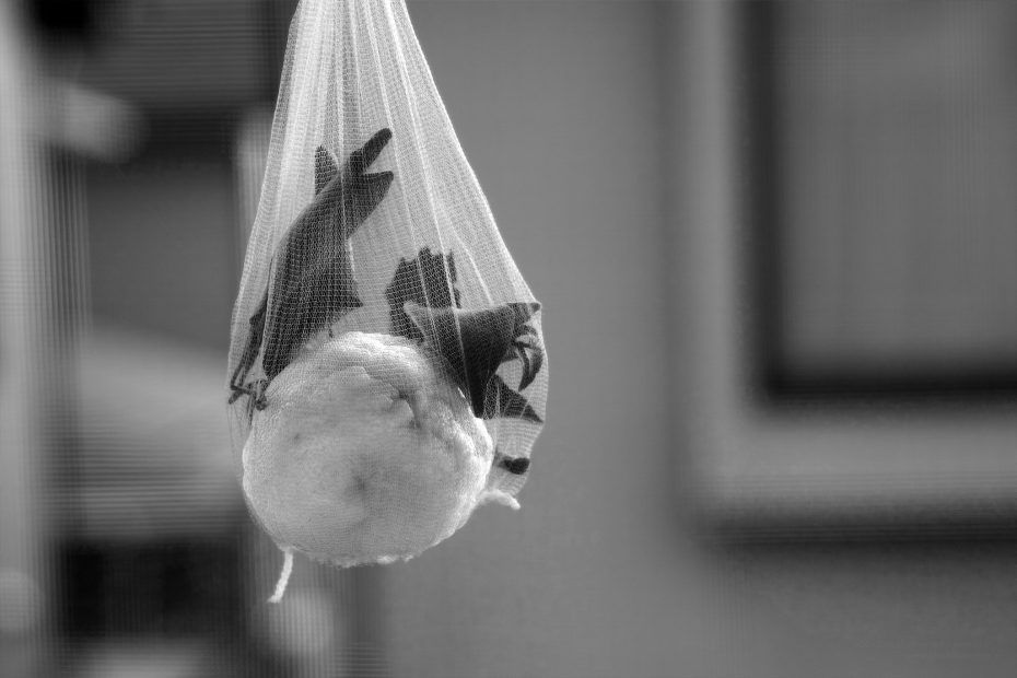 363/366 days photography season 6