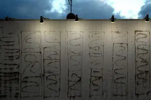 365/366 days photography season 6