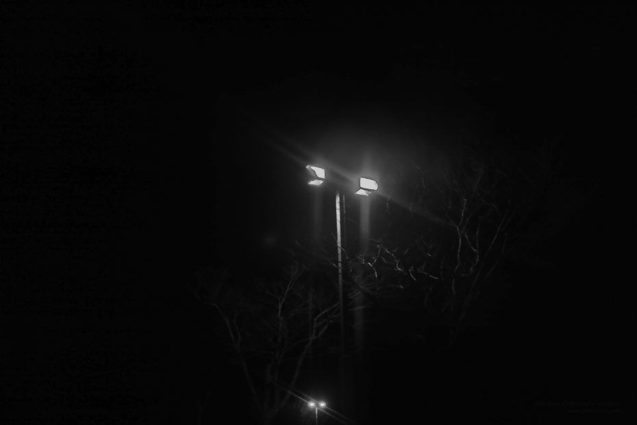 009/366 days photography season 7