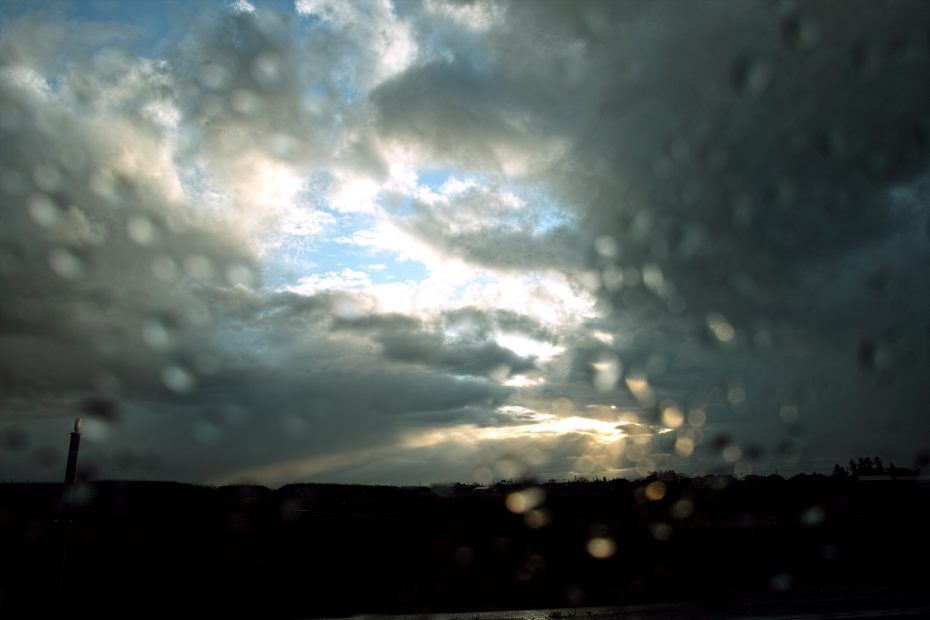 010/366 days photography season 7