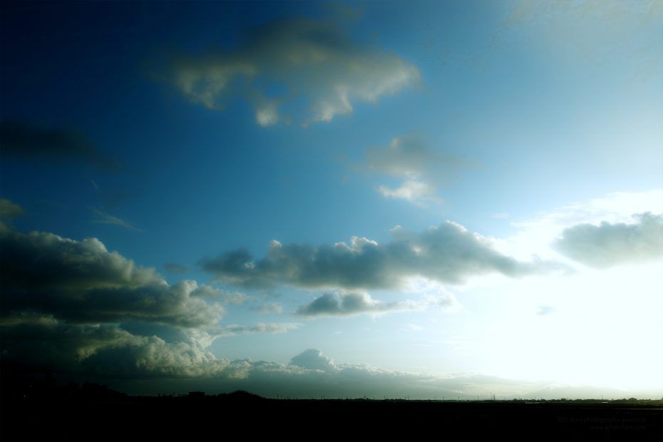 016/366 days photography season 7