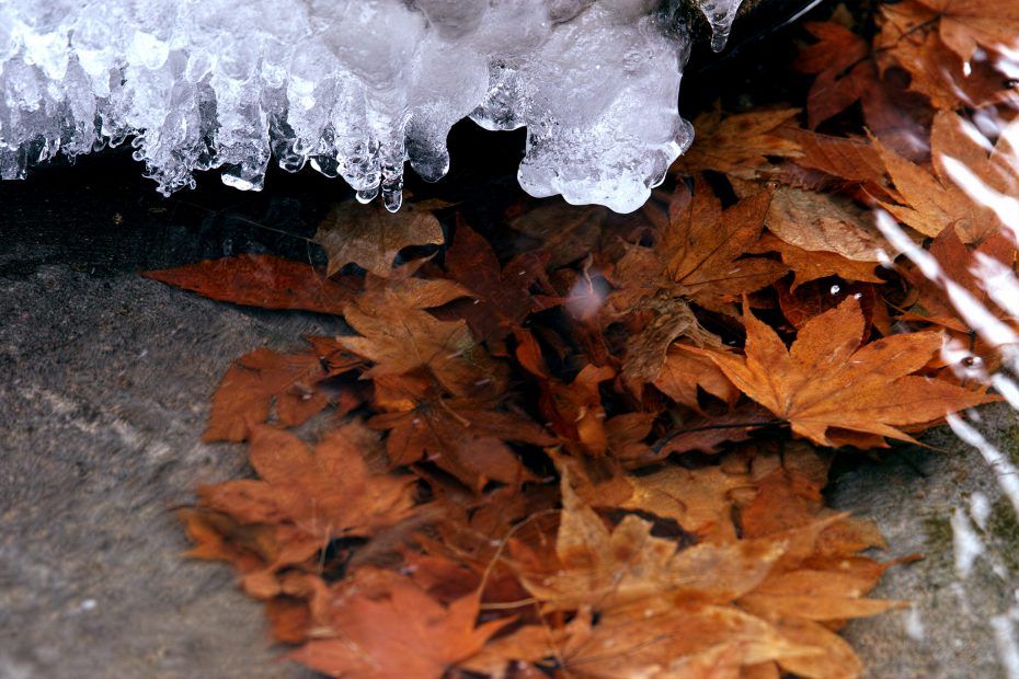 002/366 days photography season 7