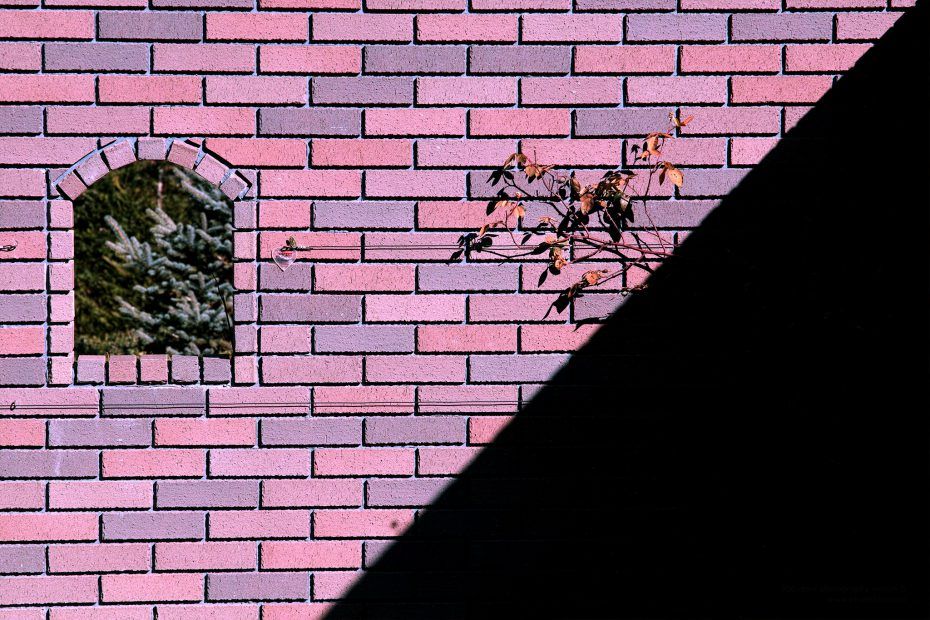 003/366 days photography season 7