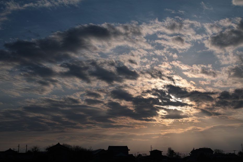 024/366 days photography season 7