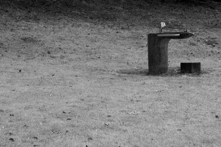 026/366 days photography season 7
