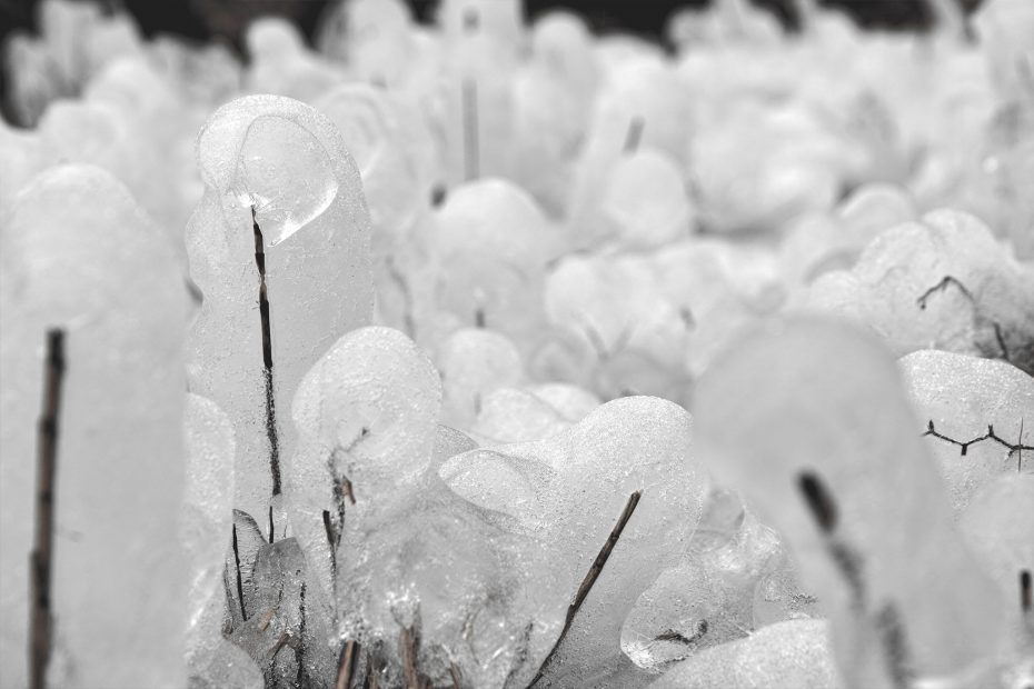 039/366 days photography season 7