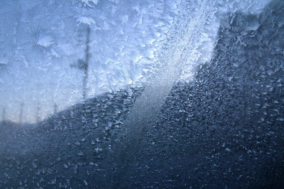 043/366 days photography season 7