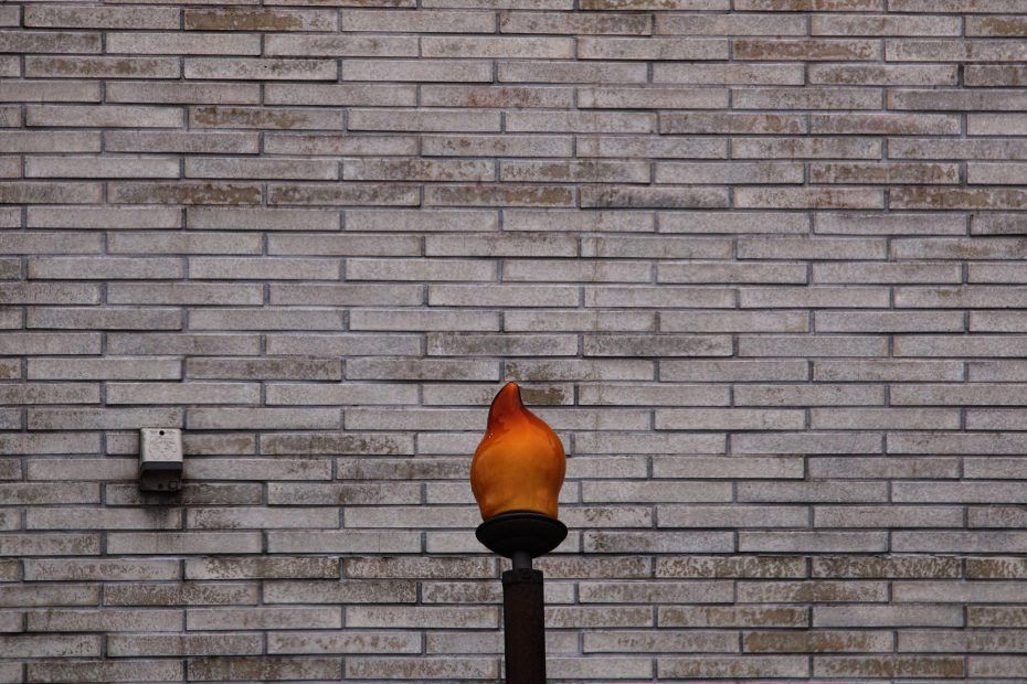 047/366 days photography season 7