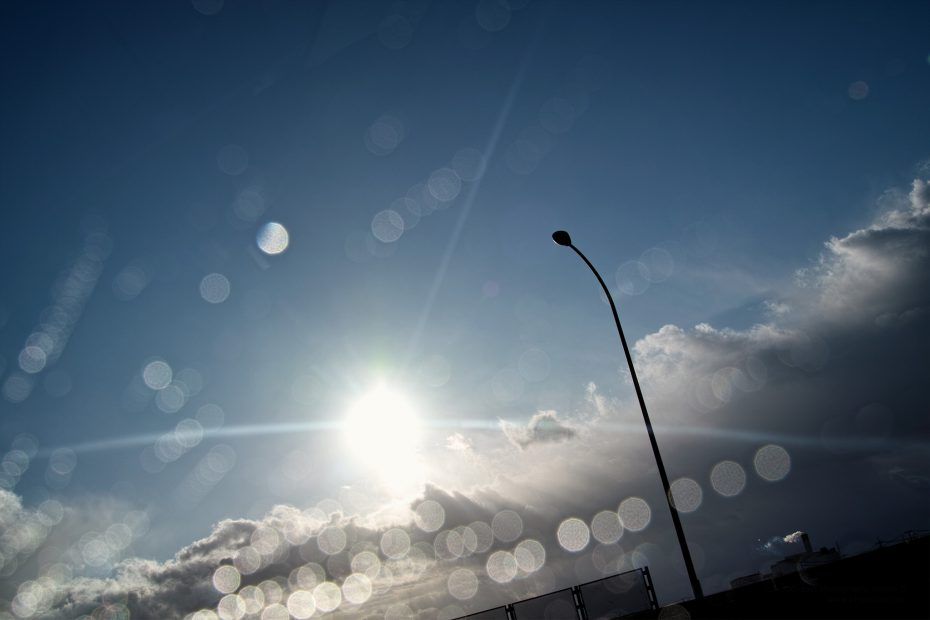 049/366 days photography season 7