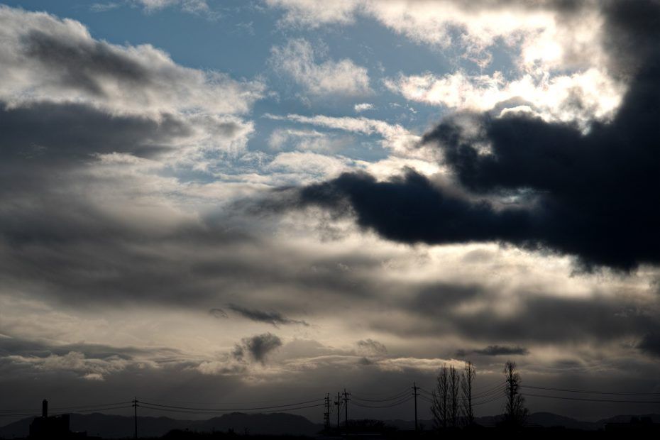 031/366 days photography season 7
