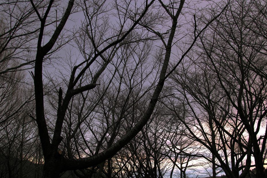 032/366 days photography season 7