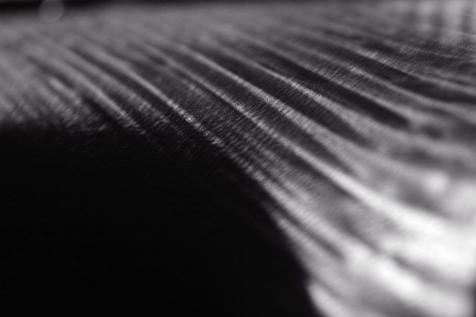 073/366 days photography season 7