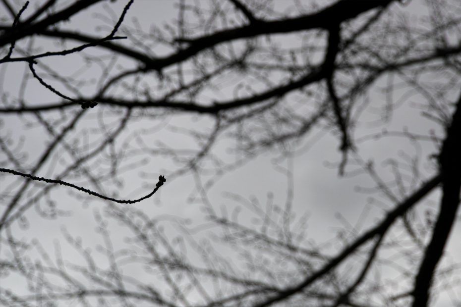 074/366 days photography season 7
