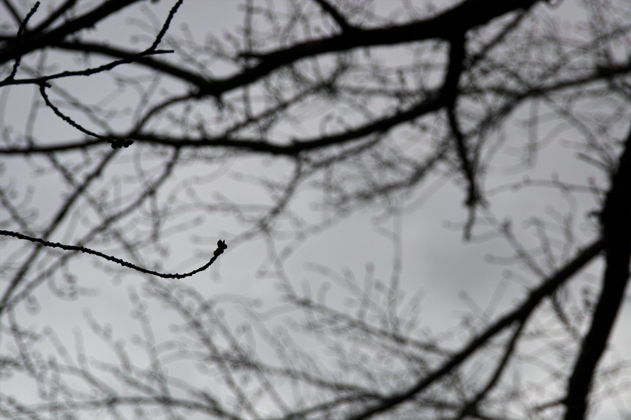 074/366 days photography season 7